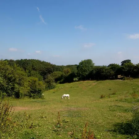 Le Pré Du Poney Hébergement de vacances *