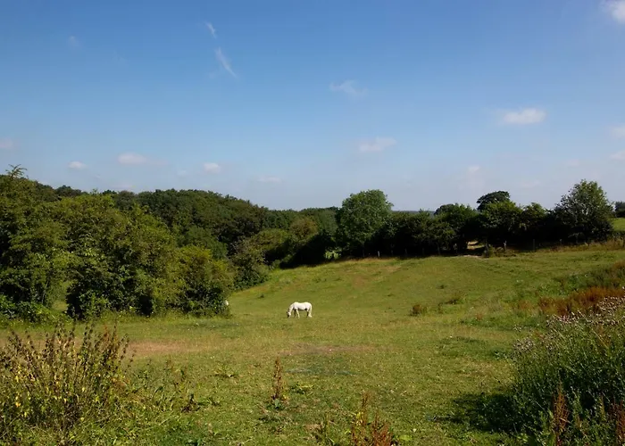 Le Pré Du Poney Hébergement de vacances *